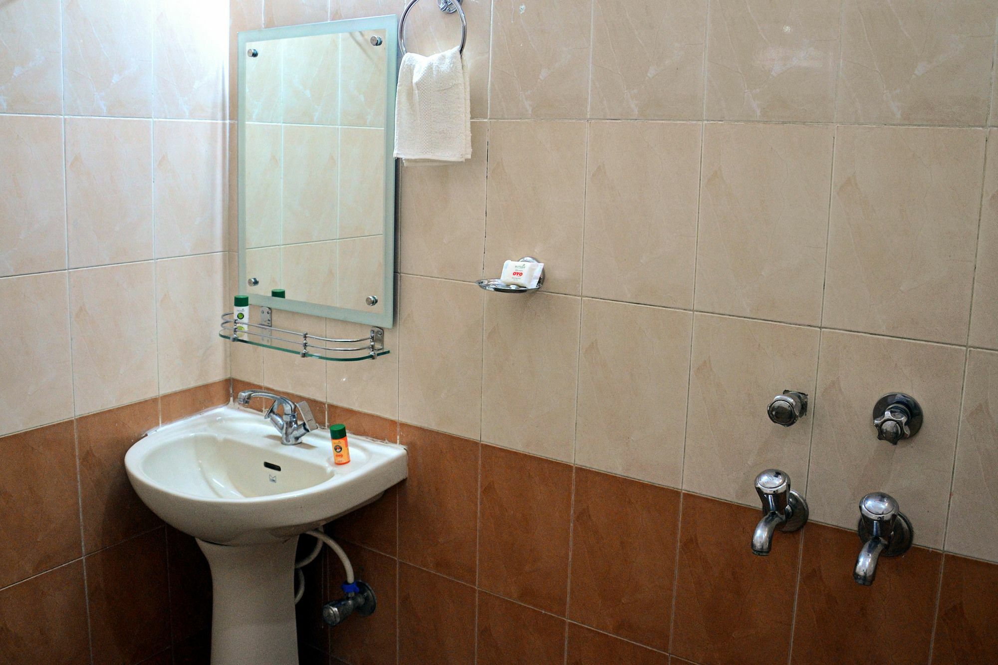 Oyo Flagship 4434 Earth Inn Lucknow Bagian luar foto